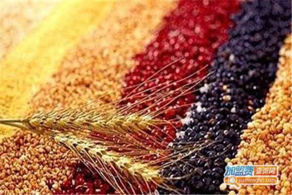 养生快线五谷养生食品加盟，开养生快线五谷养生食品加盟店轻松赚钱全家幸福！