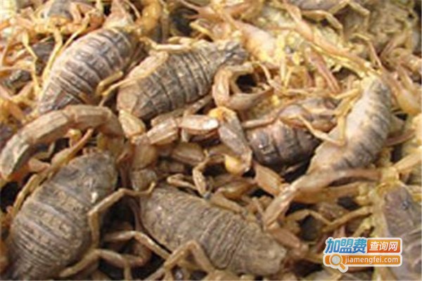 金华药蝎加盟费