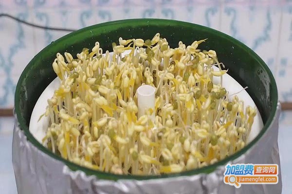 中创汇丰豆芽机加盟门店