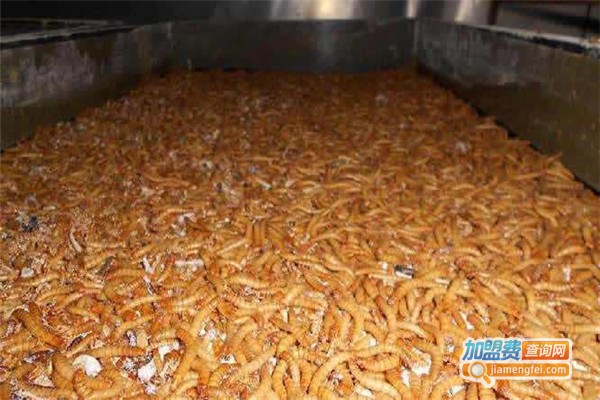 神农九号黄粉虫养殖加盟费