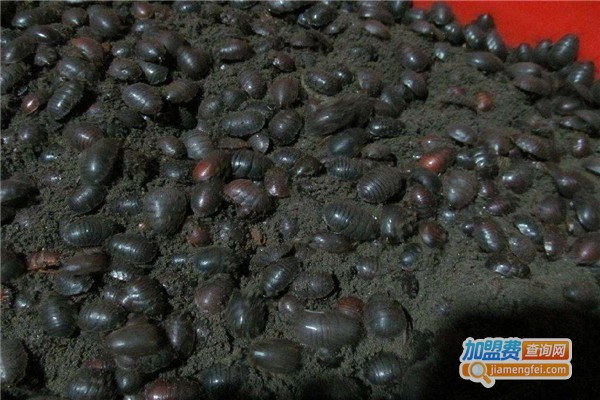 农润九号养殖加盟费