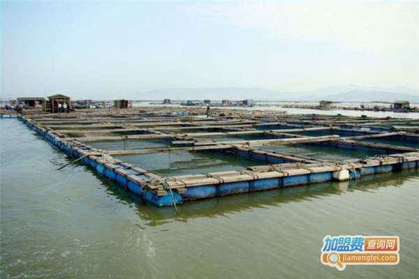 立富养殖加盟费