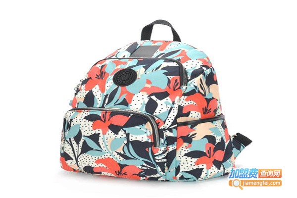 小智星3G安全书包加盟