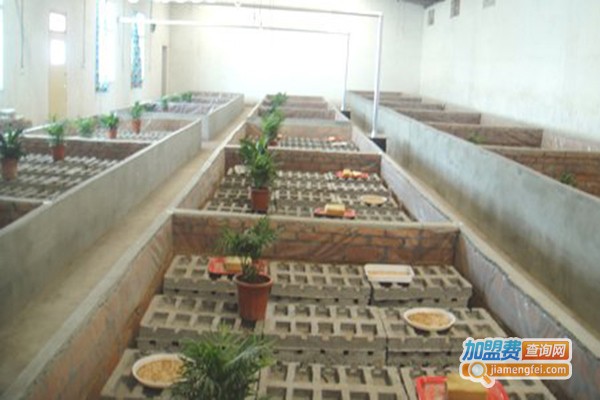 农科9号蜈蚣加盟门店