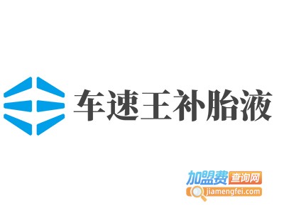 车速王补胎液