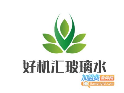 好机汇玻璃水加盟费