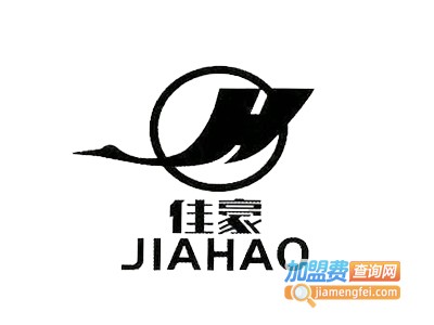 佳豪电动独轮车
