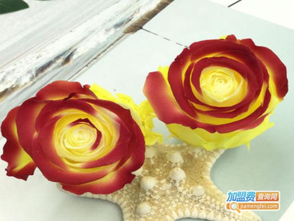 七色花女孩个人用品加盟费