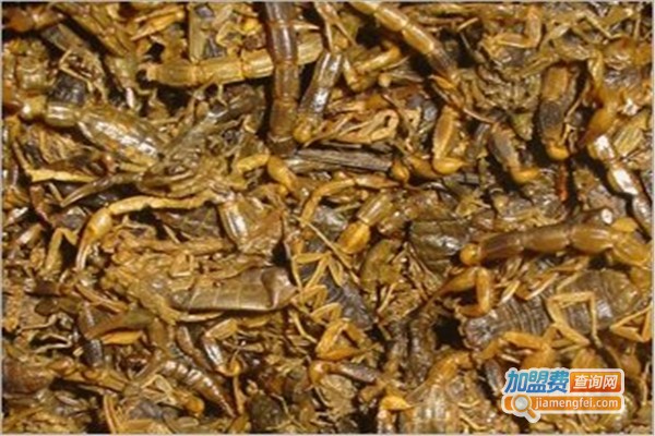 金华药蝎加盟费