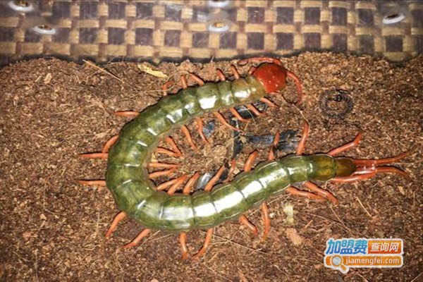 农大邦创养殖加盟门店