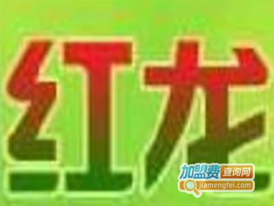 红龙蝎子养殖加盟