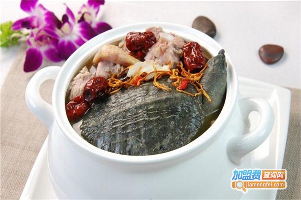 潮汕甲鱼养生馆加盟费