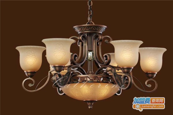 亮国灯饰加盟费