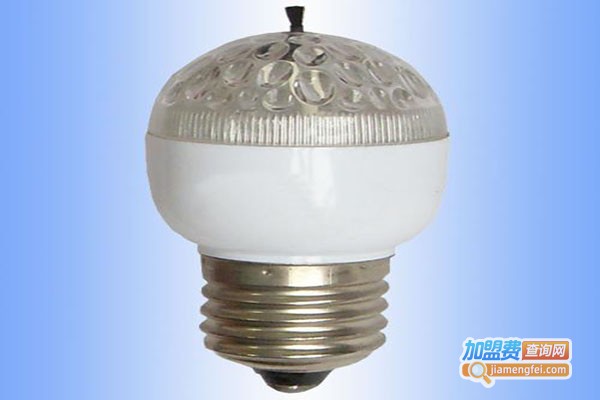 家美净节能灯加盟门店