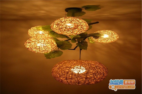 亮国灯饰加盟费