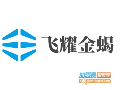 飞耀金蝎加盟费