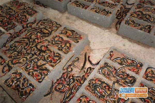 华夏蜈蚣王加盟费