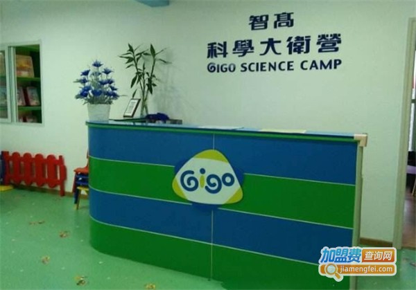 智高科学大卫营儿童教育加盟费