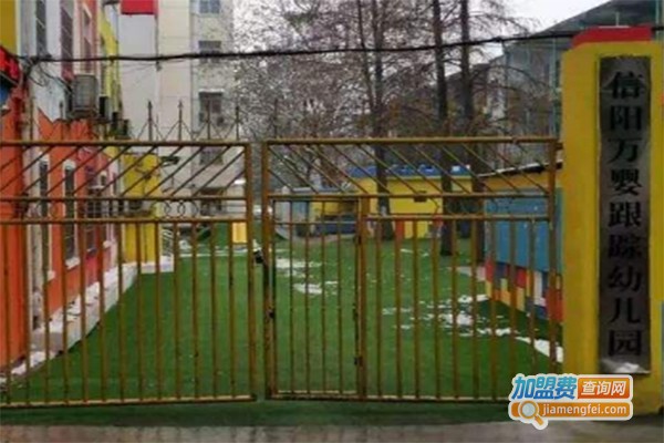 万婴跟踪教育加盟费