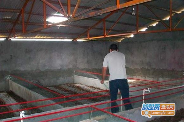 华中金头蜈蚣养殖加盟费