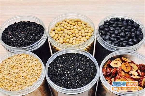 朝能粮饮五谷养生加盟费