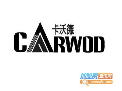 卡沃德小家电车载泡沫洗车机