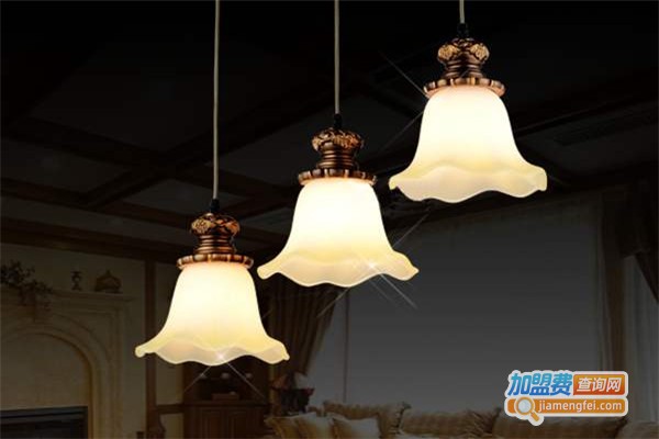 珧明照明电器加盟费