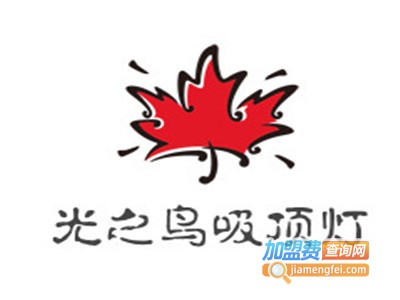 光之鸟吸顶灯加盟费
