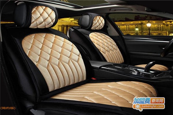 驾神3D第六代智能汽车坐垫加盟费