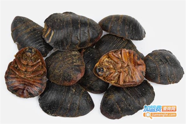 农大七号地鳖虫养殖加盟费