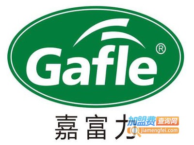 嘉富力汽车用品加盟费