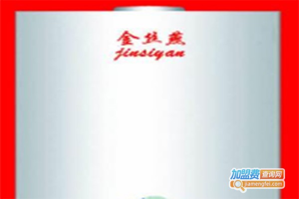 金丝燕壁挂炉