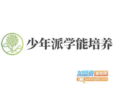 少年派学能培养加盟费