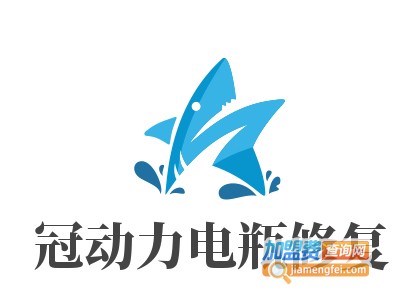 冠动力电瓶修复