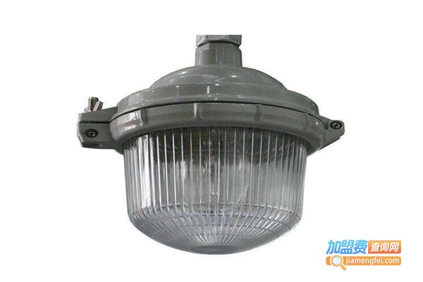 永嘉海洋王灯具加盟费