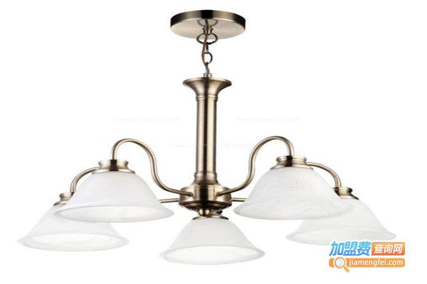 传金灯饰加盟费