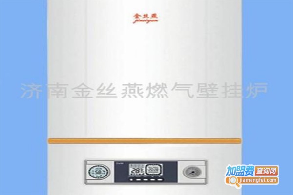 金丝燕壁挂炉