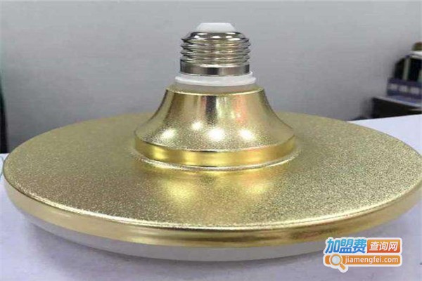 真牛照明加盟费