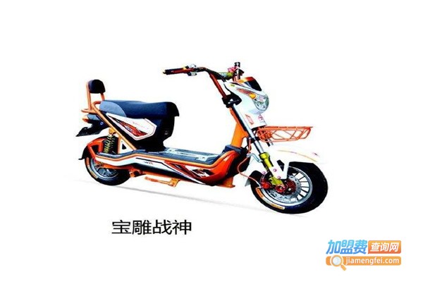 宝雕电动车加盟