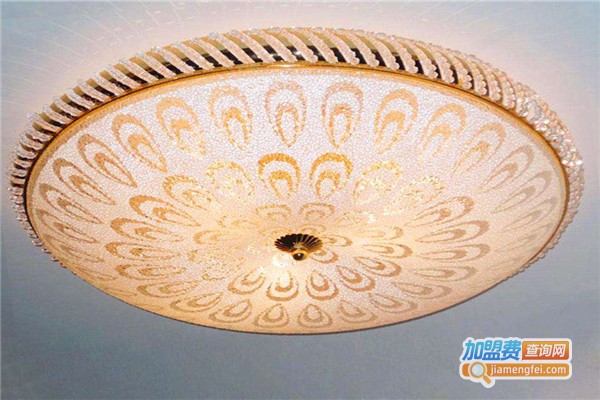 蜀强灯饰加盟费