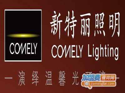 新特丽品牌灯饰加盟费