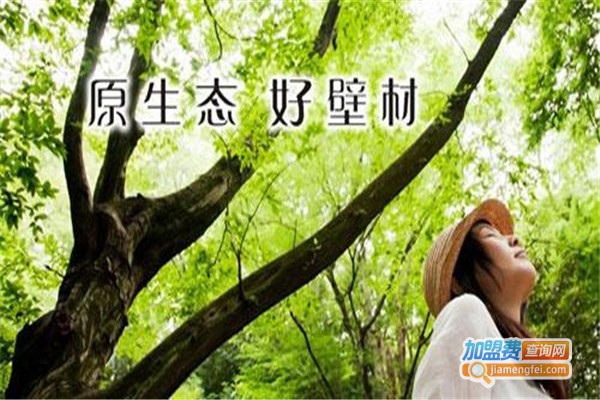 绿之舍生态壁材加盟费