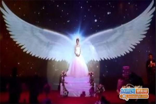 雅迪婚庆加盟费