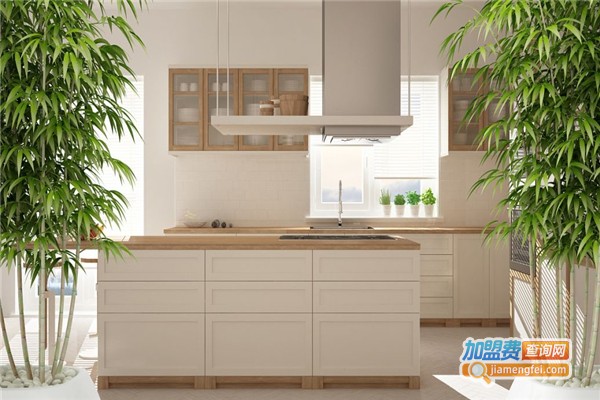 忆家橱柜加盟费