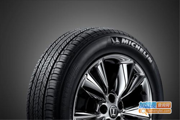 德弗玛蒂斯轮胎自动修复液加盟费