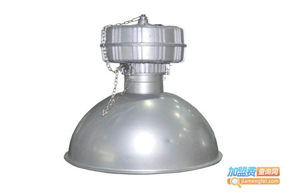 永嘉海洋王灯具加盟费