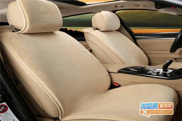 驾神3D第六代智能汽车坐垫加盟费