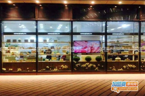 台湾嘉速美美容加盟费