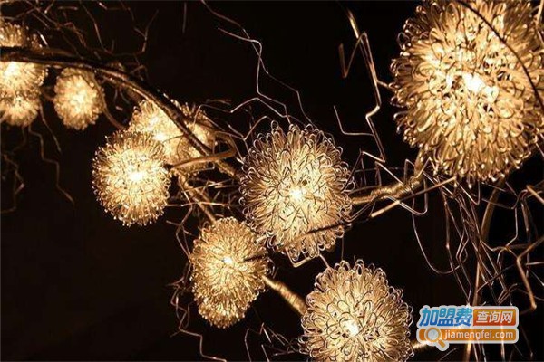 绿皇灯具加盟费