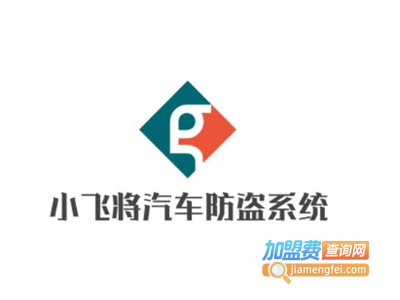 小飞将汽车防盗系统加盟费